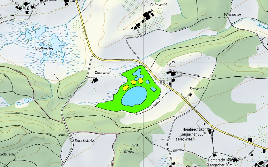 Landeskarte swisstopo mit dem Schutzperimeter von Seeweidsee (Hochmoor)