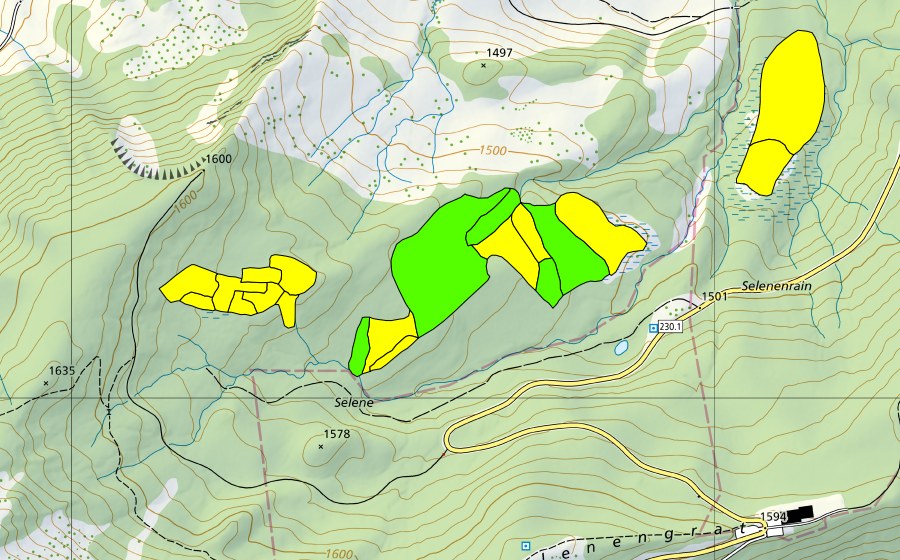 swisstopo national map showing the protected perimeter of Selenen (Raised bog)
