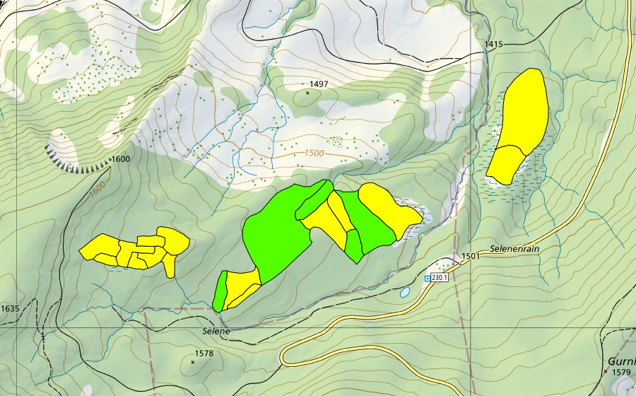 Carte nationale swisstopo avec le périmètre protégé de Selenen (Haut-marais)