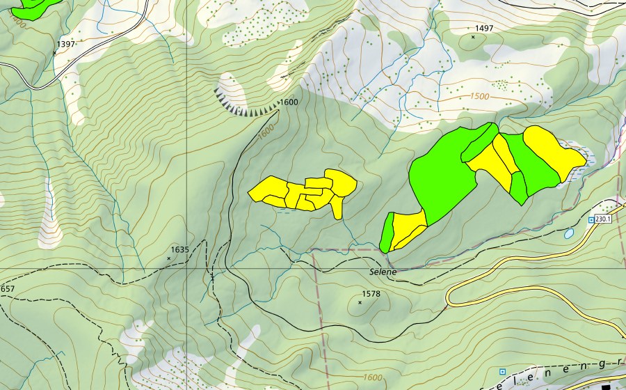 Carte nationale swisstopo avec le périmètre protégé de Selenen (Haut-marais)