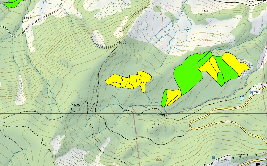 Carte nationale swisstopo avec le périmètre protégé de Selenen (Haut-marais)