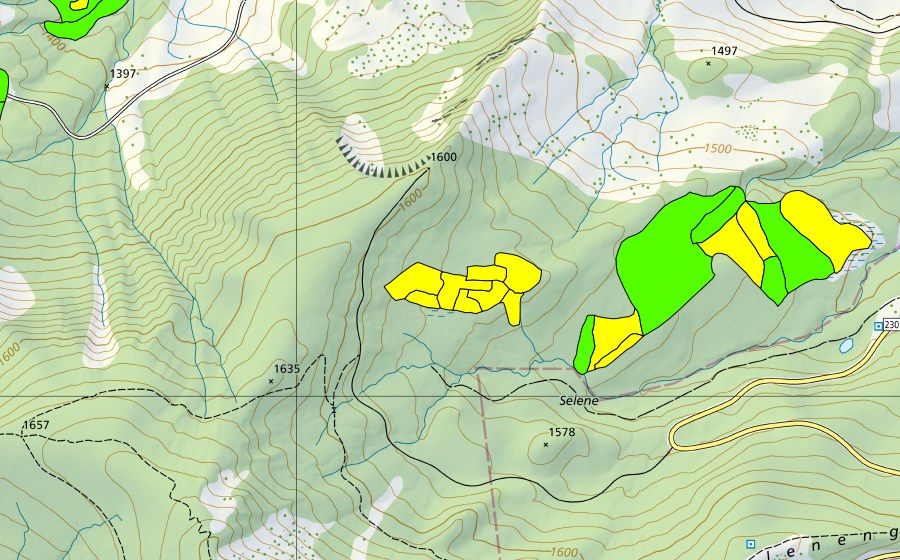 Carte nationale swisstopo avec le périmètre protégé de Selenen (Haut-marais)