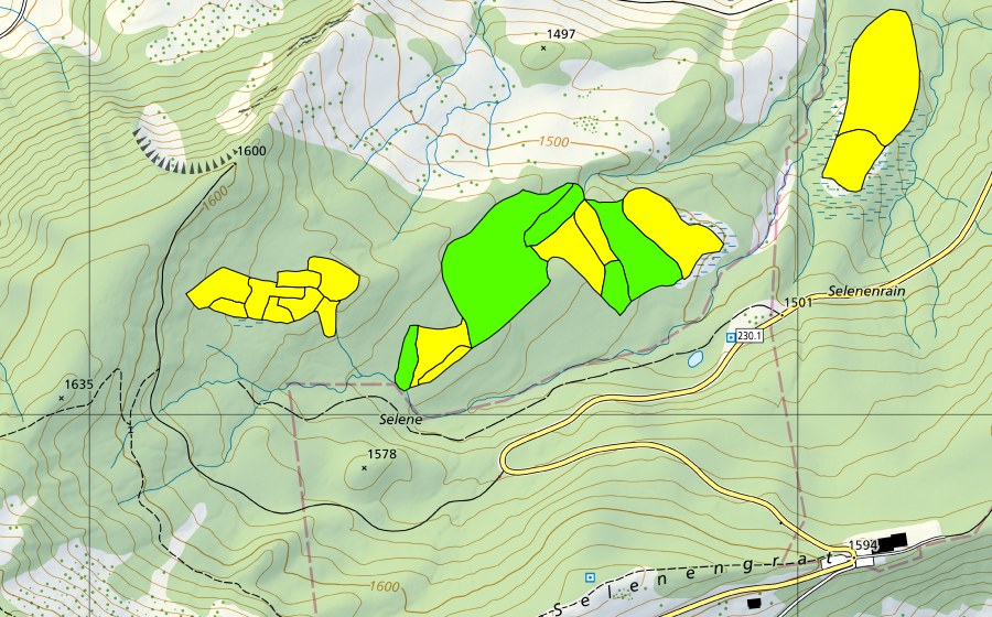 Landeskarte swisstopo mit dem Schutzperimeter von Selenen (Hochmoor)