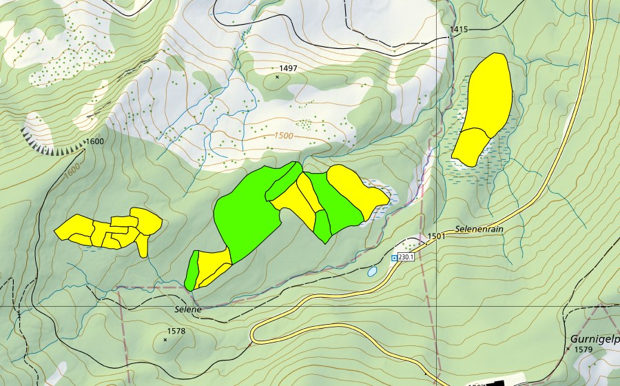 swisstopo national map showing the protected perimeter of Selenen (Raised bog)