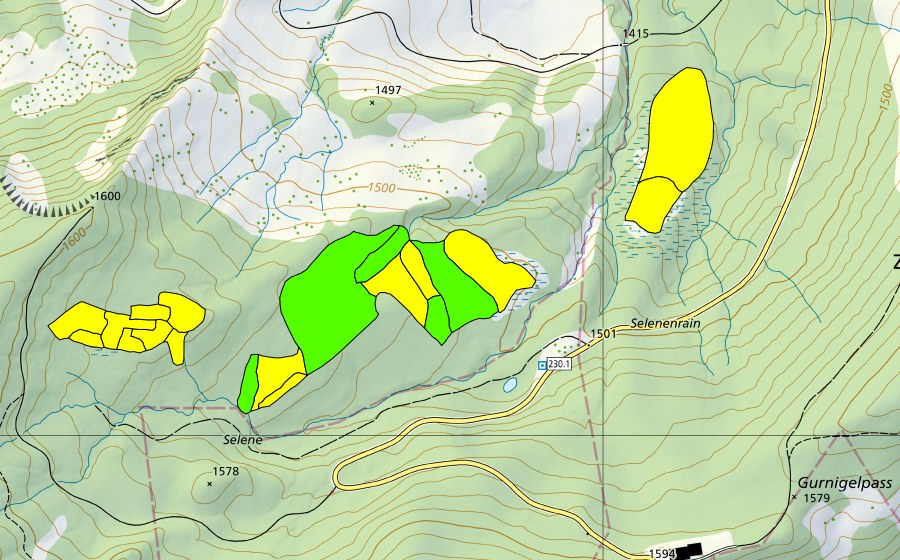 swisstopo national map showing the protected perimeter of Selenen (Raised bog)