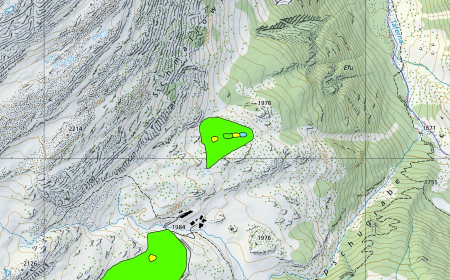 Landeskarte swisstopo mit dem Schutzperimeter von Simplonpass/Hopschusee (Hochmoor)