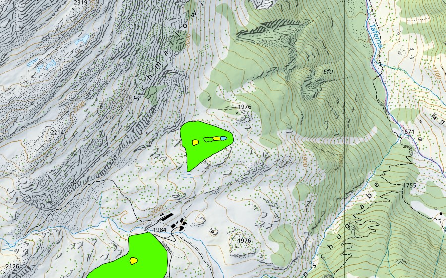 swisstopo national map showing the protected perimeter of Simplonpass/Hopschusee (Raised bog)