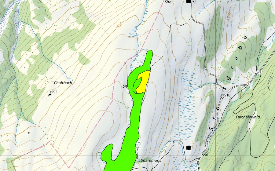 Landeskarte swisstopo mit dem Schutzperimeter von Sparemoos/Tots Mädli (Hochmoor)