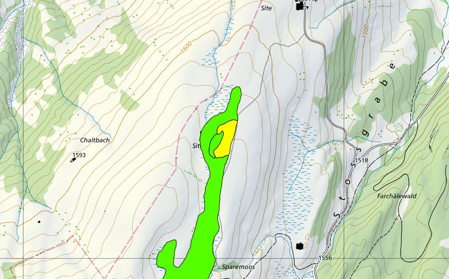 swisstopo national map showing the protected perimeter of Sparemoos/Tots Mädli (Raised bog)