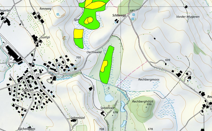 Landeskarte swisstopo mit dem Schutzperimeter von Spitzenmoos (Hochmoor)
