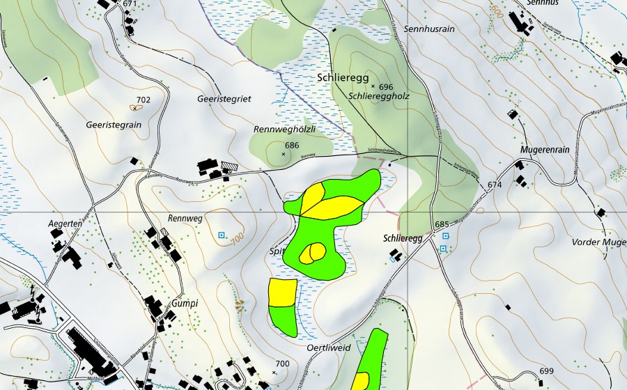 swisstopo national map showing the protected perimeter of Spitzenmoos (Raised bog)