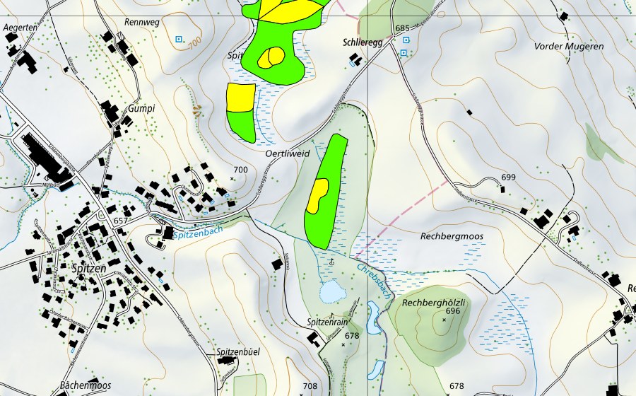swisstopo national map showing the protected perimeter of Spitzenmoos (Raised bog)
