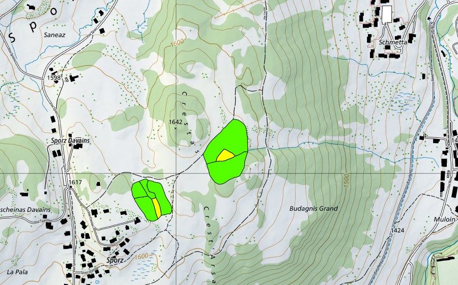 Landeskarte swisstopo mit dem Schutzperimeter von Sporz Davains (Hochmoor)