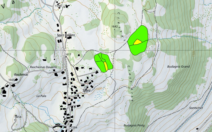 Carte nationale swisstopo avec le périmètre protégé de Sporz Davains (Haut-marais)