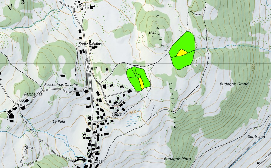 Landeskarte swisstopo mit dem Schutzperimeter von Sporz Davains (Hochmoor)
