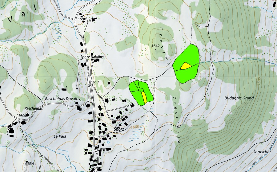 Landeskarte swisstopo mit dem Schutzperimeter von Sporz Davains (Hochmoor)