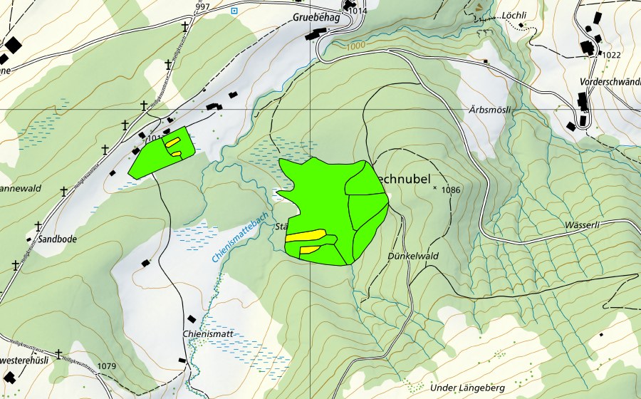 Landeskarte swisstopo mit dem Schutzperimeter von Stächtenmösli (Hochmoor)