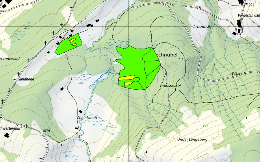 Landeskarte swisstopo mit dem Schutzperimeter von Stächtenmösli (Hochmoor)