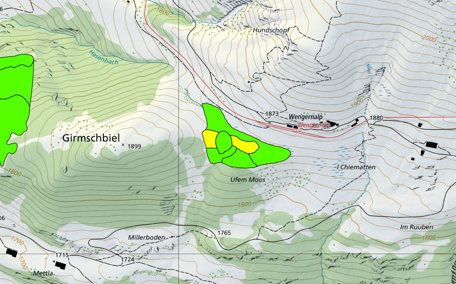 Carte nationale swisstopo avec le périmètre protégé de Station Wengernalp (Haut-marais)