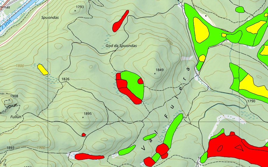 Carta nazionale swisstopo con il perimetro protetto di Stazer Wald (Torbiera alta)