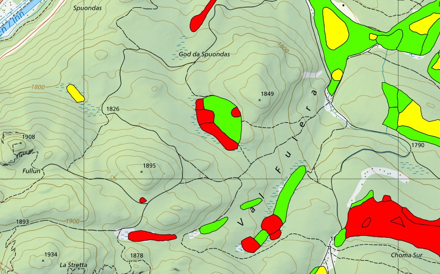 Landeskarte swisstopo mit dem Schutzperimeter von Stazer Wald (Hochmoor)