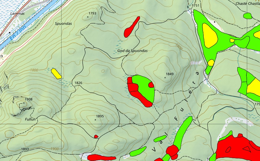 swisstopo national map showing the protected perimeter of Stazer Wald (Raised bog)
