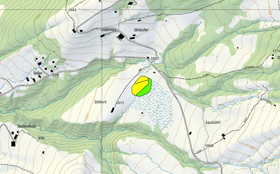 Landeskarte swisstopo mit dem Schutzperimeter von Stillert (Hochmoor)