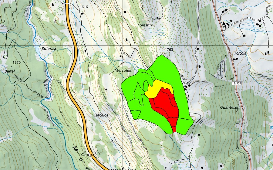 swisstopo national map showing the protected perimeter of Suossa (Raised bog)