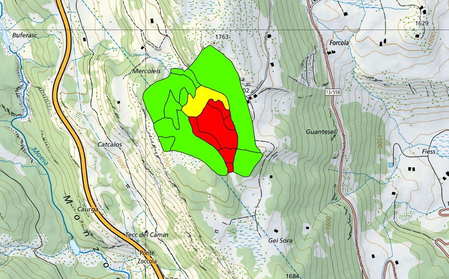 swisstopo national map showing the protected perimeter of Suossa (Raised bog)