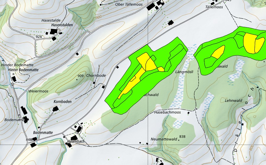 swisstopo national map showing the protected perimeter of Tällenmoos (Raised bog)