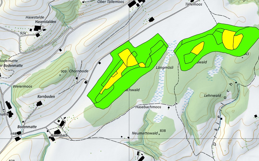 swisstopo national map showing the protected perimeter of Tällenmoos (Raised bog)