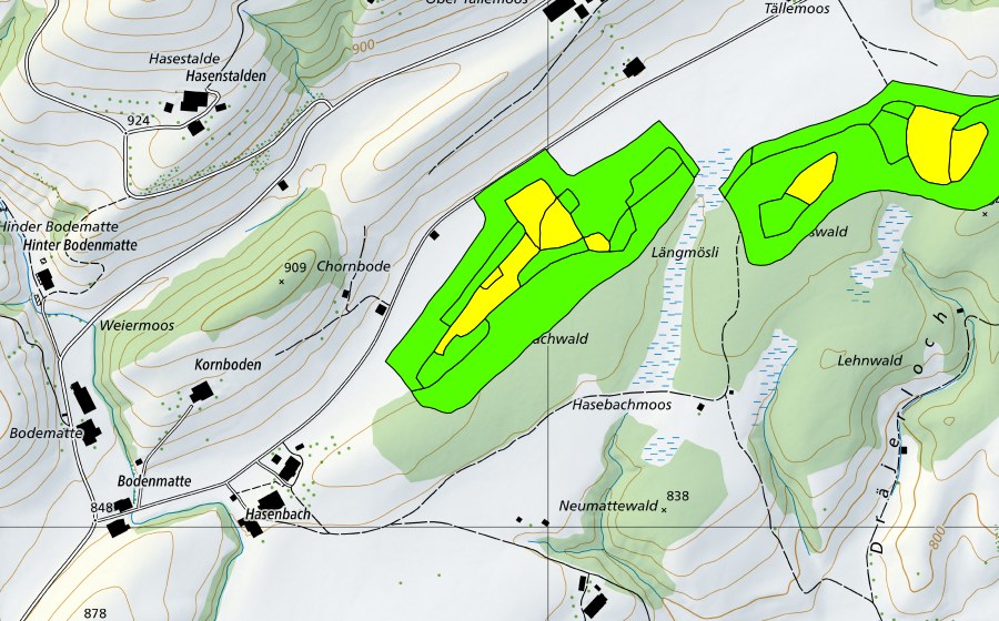 swisstopo national map showing the protected perimeter of Tällenmoos (Raised bog)