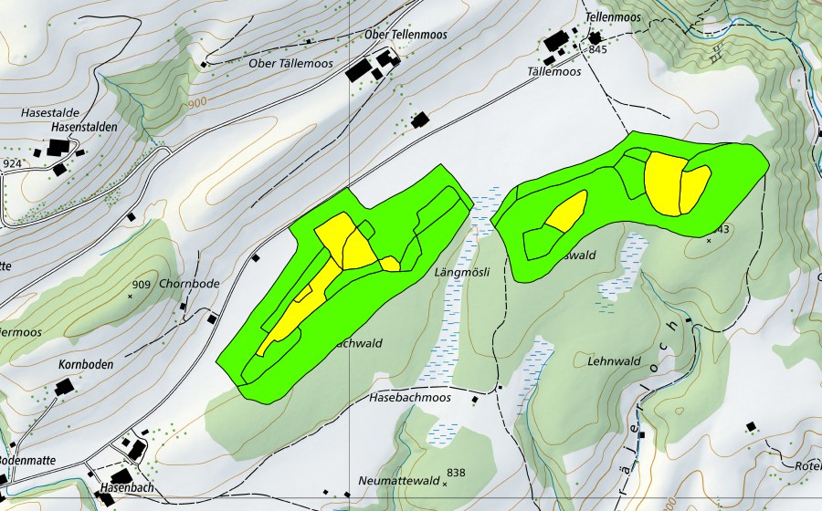 swisstopo national map showing the protected perimeter of Tällenmoos (Raised bog)