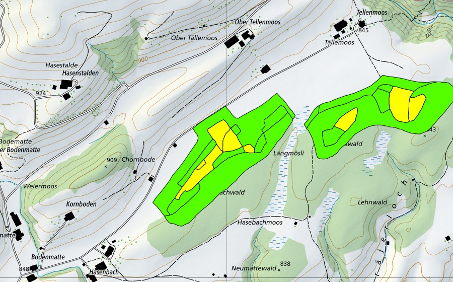 Carte nationale swisstopo avec le périmètre protégé de Tällenmoos (Haut-marais)