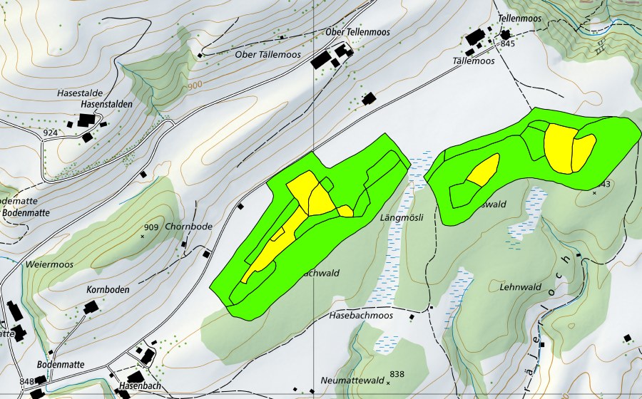 Carte nationale swisstopo avec le périmètre protégé de Tällenmoos (Haut-marais)