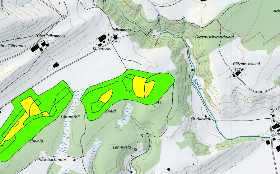 swisstopo national map showing the protected perimeter of Tällenmoos (Raised bog)