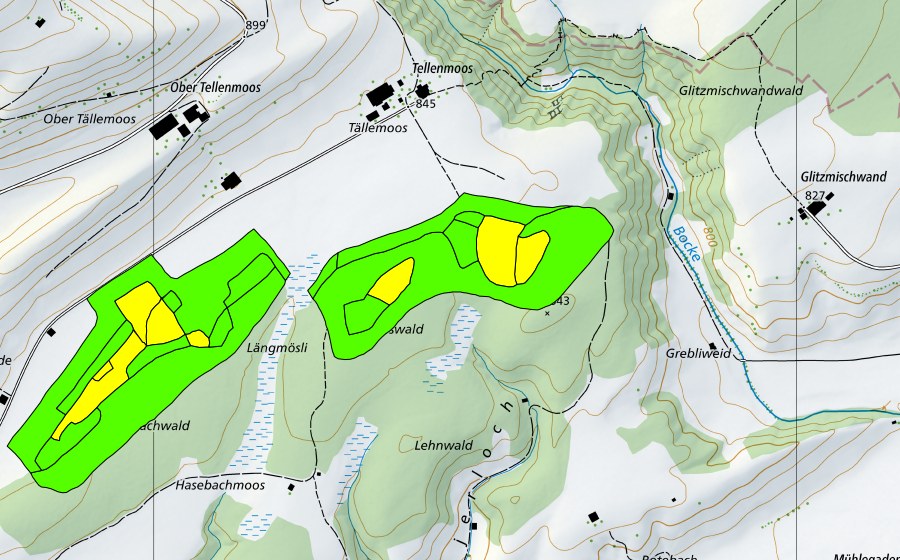 Landeskarte swisstopo mit dem Schutzperimeter von Tällenmoos (Hochmoor)