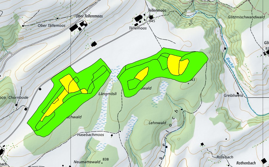swisstopo national map showing the protected perimeter of Tällenmoos (Raised bog)