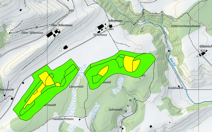 Carte nationale swisstopo avec le périmètre protégé de Tällenmoos (Haut-marais)