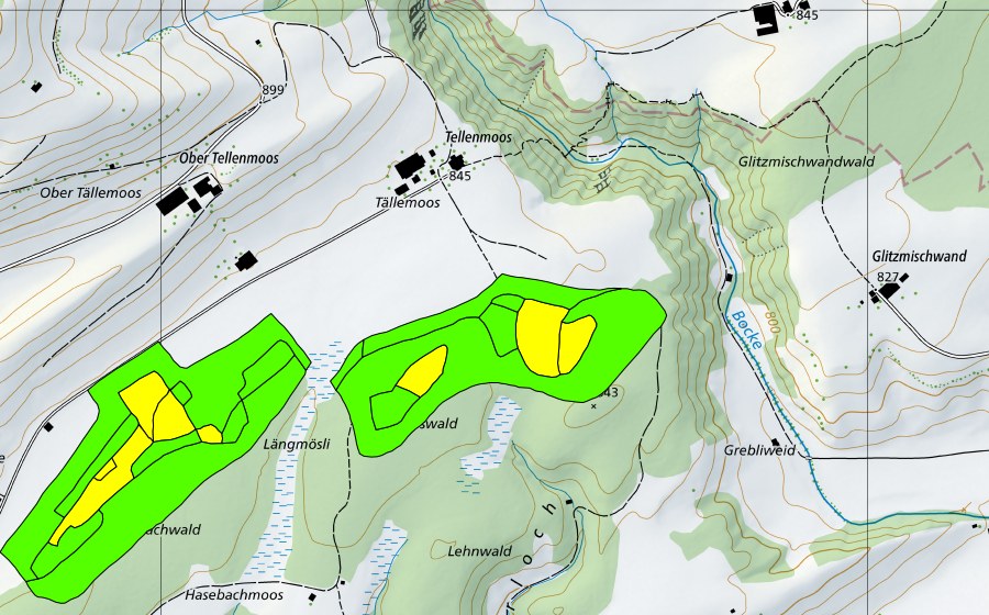 Carte nationale swisstopo avec le périmètre protégé de Tällenmoos (Haut-marais)