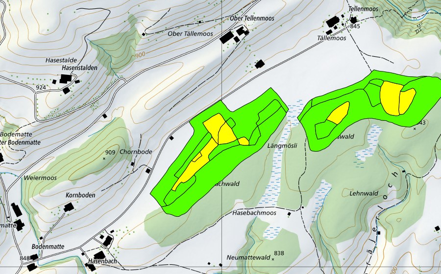 Landeskarte swisstopo mit dem Schutzperimeter von Tällenmoos (Hochmoor)