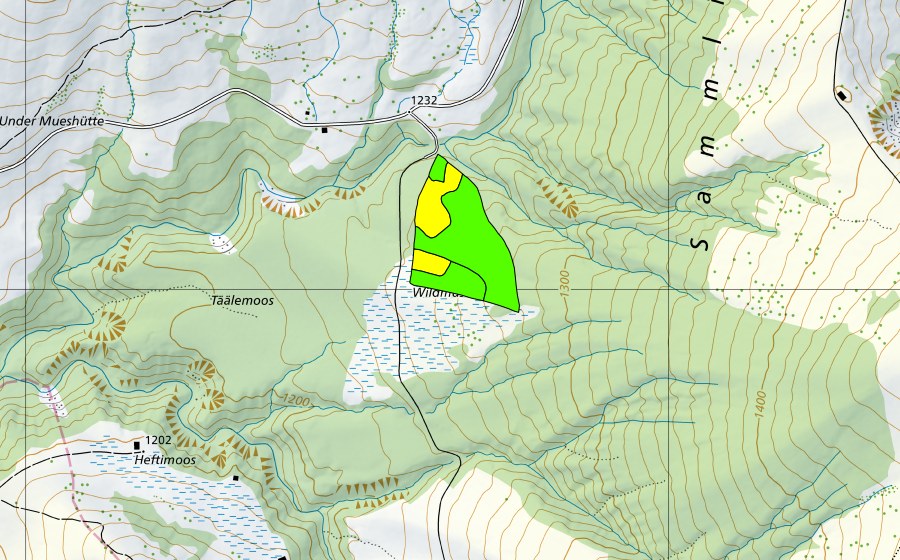Carte nationale swisstopo avec le périmètre protégé de Tällenmoos im Hilferental (Haut-marais)