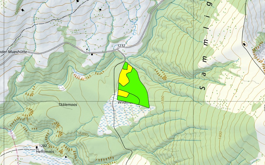 swisstopo national map showing the protected perimeter of Tällenmoos im Hilferental (Raised bog)