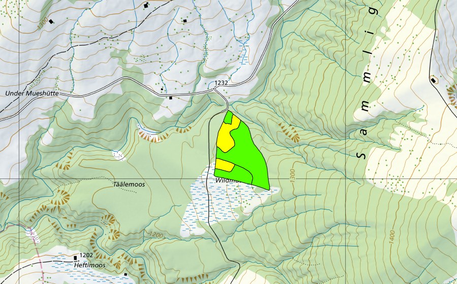 swisstopo national map showing the protected perimeter of Tällenmoos im Hilferental (Raised bog)