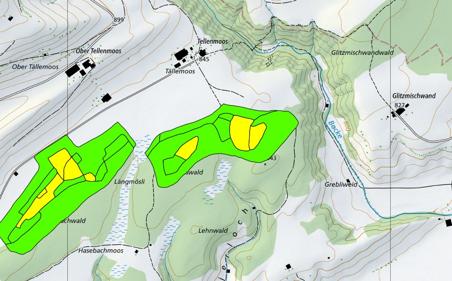 Carte nationale swisstopo avec le périmètre protégé de Tällenmoos (Haut-marais)