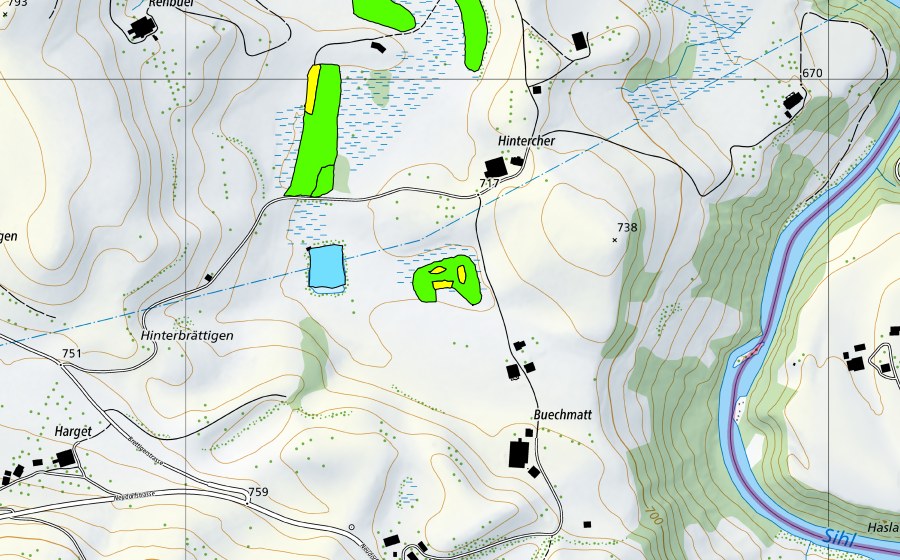 swisstopo national map showing the protected perimeter of Tännlimoos/Hintercher-Moos/Muserholz (Raised bog)