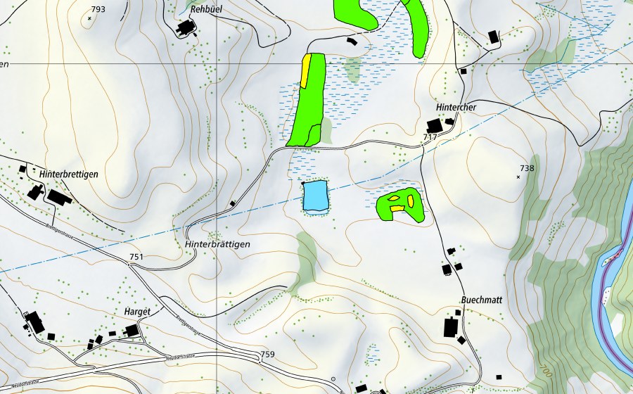 Carte nationale swisstopo avec le périmètre protégé de Tännlimoos/Hintercher-Moos/Muserholz (Haut-marais)
