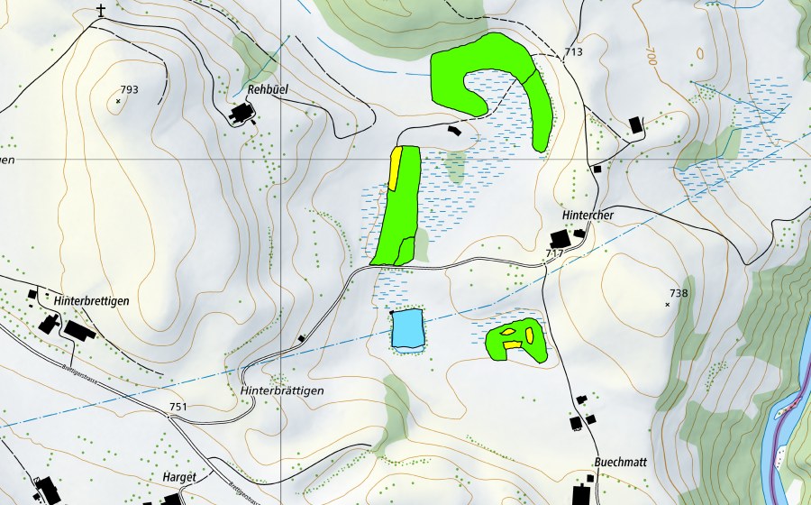 Carte nationale swisstopo avec le périmètre protégé de Tännlimoos/Hintercher-Moos/Muserholz (Haut-marais)