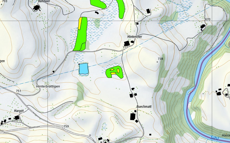 Landeskarte swisstopo mit dem Schutzperimeter von Tännlimoos/Hintercher-Moos/Muserholz (Hochmoor)