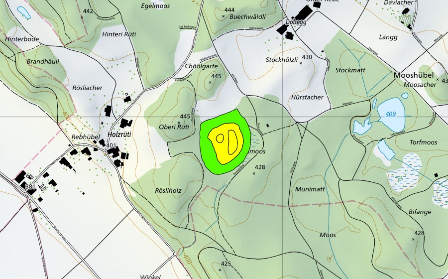 Landeskarte swisstopo mit dem Schutzperimeter von Taumoos (Hochmoor)